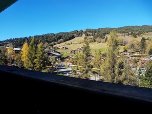 Views