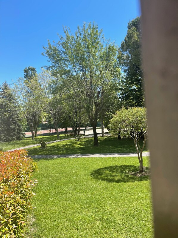 Property grounds