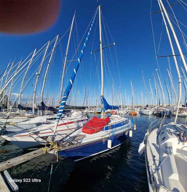 Marina