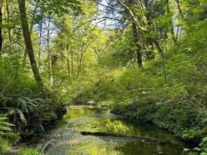 Our peaceful creek is just a short walk down your own private trail. Tucked away from the world but only steps from the back door, it’s the perfect spot for morning coffee, wading in the water, or simply relaxing in nature. 