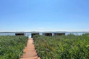 Immediate Surroundings [summer] (&lt;1 km)