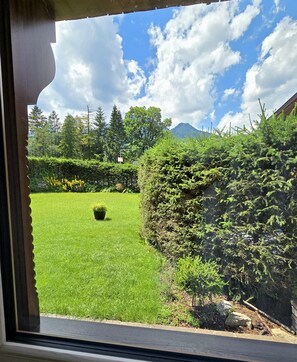 View from room