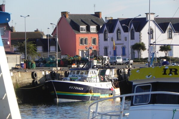 Marina