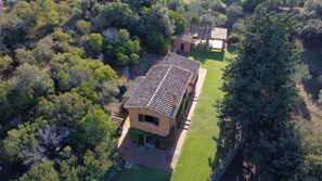 Aerial view.