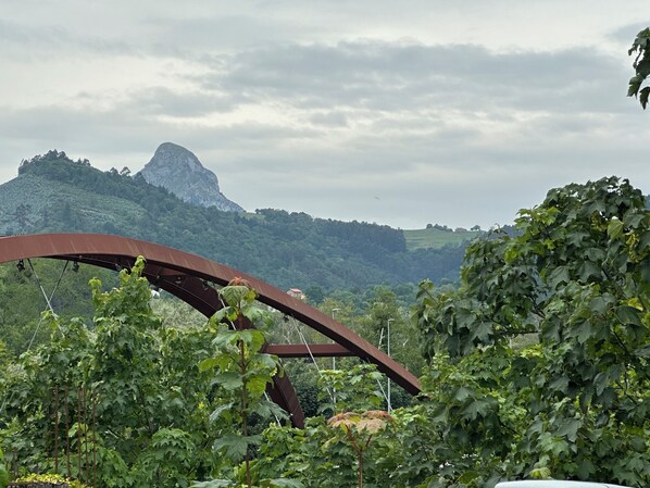 Udendørsområde