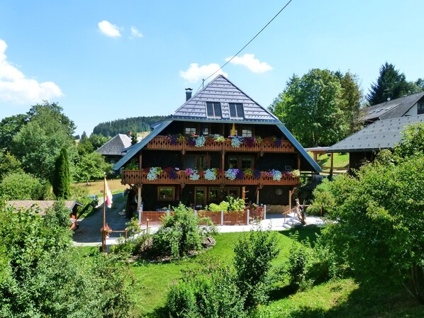 Exteriör