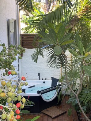 Outdoor spa tub