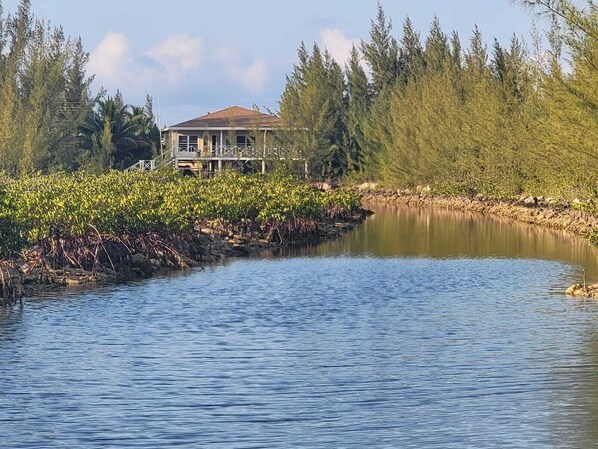 View from intercoastal canal.