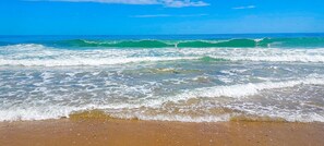 Shore Line 