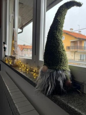 Vista dalla camera
