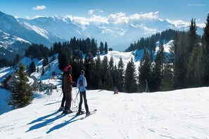 Sne- og skisport