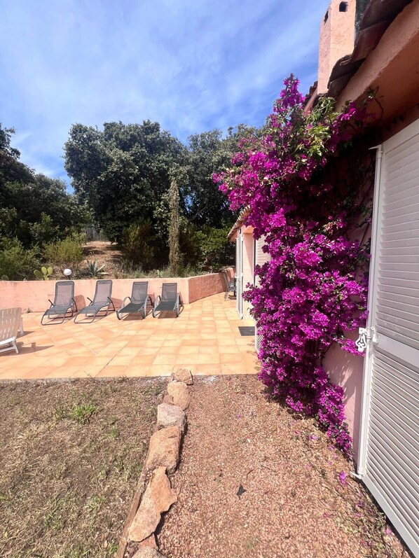 Terrass/Patio