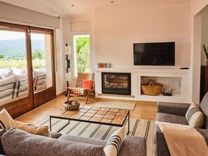 Living and Fireplace