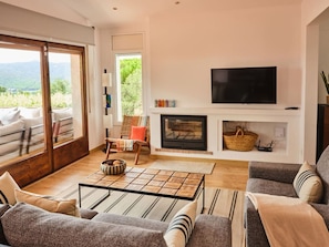 Living and Fireplace