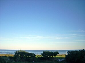 Beach/ocean view