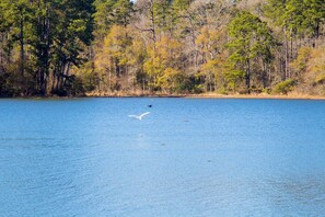Goosport Park