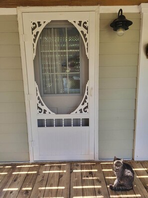 Resident cats and turtles wander throughout property