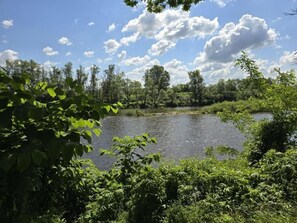 Boendeområde