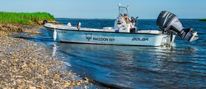 Accessible only by boat, Little Raccoon Key is a 5-minute ride from Jekyll Island. Enjoy seclusion in this private oasis with groceries and other amenities delivered per request.