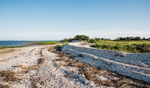 Explore 20 acres of private island bliss at Little Raccoon Key. Revel in untouched beaches and serene open waters, perfect for an exclusive and tranquil getaway.