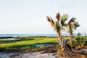 Drop your bags and explore the natural beauty of Little Raccoon Key, where lush greenery meets serene waters. This island retreat offers a stunning backdrop for relaxation and exploration.