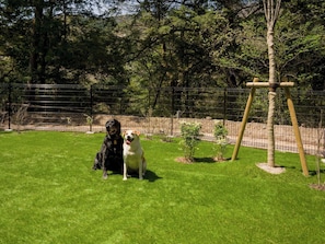 Animaux de compagnie acceptés