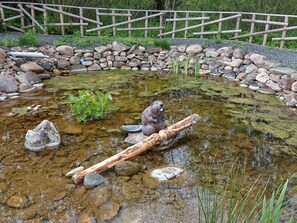 Zaun, Wasser, Wasserlauf, Bedrock, Holz, Bank, Pflanze, Gras, Ground