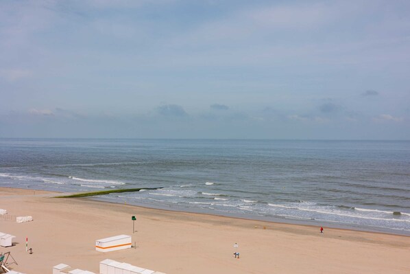 Seaview from the terrace