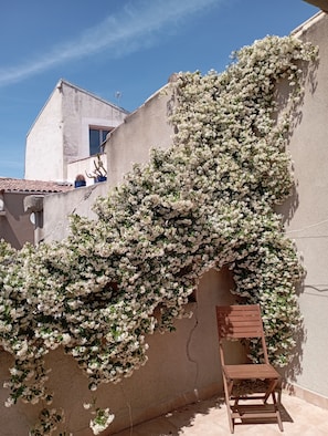 La Terrasse JASMIN