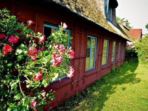Detalj exteriör