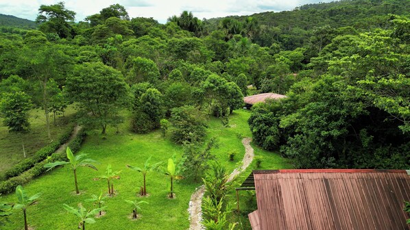Área da propriedade