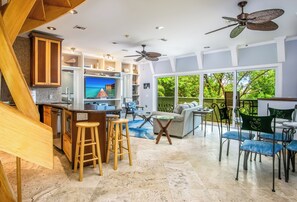 Open Floor Plan Kitchen, Living and  Dining Area