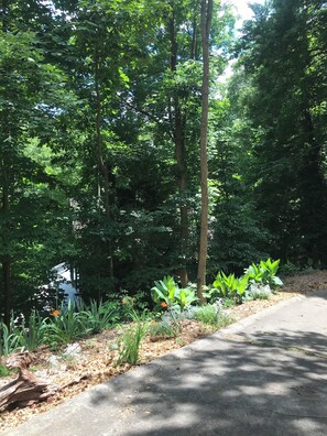 Private room surrounded by woods, creek, trails, and loving nature.