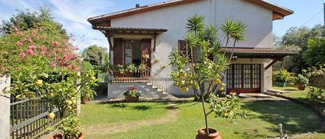 Garden, Outdoor