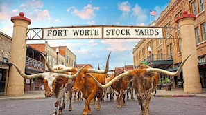 Fort Worth Stock Yards are nearby!
