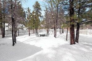 Surrounded by pines and nature