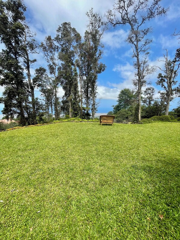 View from your ohana lanai
