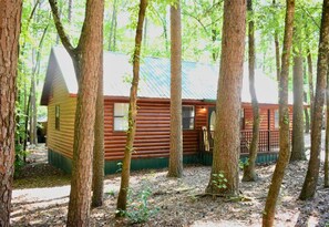 Nestled among tall trees, our cabin offers a cozy retreat with easy access to nature trails and outdoor adventures.