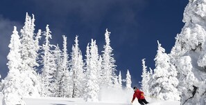 Skiing doesn't get any better then this with high-quality snow at one of the top ski resorts in the US!