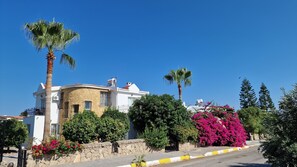 Street view of villa