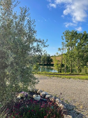 Boendeområde