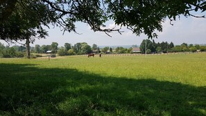 Boendeområde