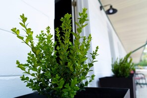 Detalle exterior
