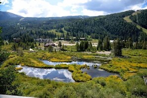 Located on the Snake River