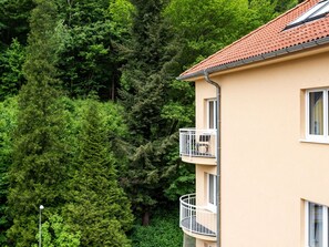 Fenêtre, Bâtiment, Plante, Arbre, Maison, Biome, À Feuilles Persistantes, Chalet, Herbe