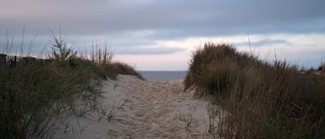 Strand