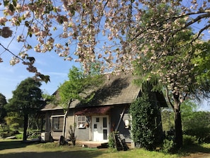 Outlook in Spring