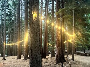 Outside lights