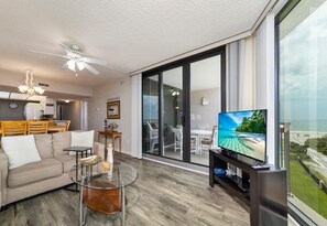 Living Room with Television