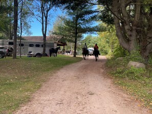 The Ranch Drive

The Ranch sits right on the Nicolet State Trail with direct trail access.  It is perfect for ATV, UTV, & horse owners to enjoy the entire National Forest.  Pictured here are horses heading out for a morning ride.  Park your vehicle at the Ranch and ride out just as these ladies are doing!